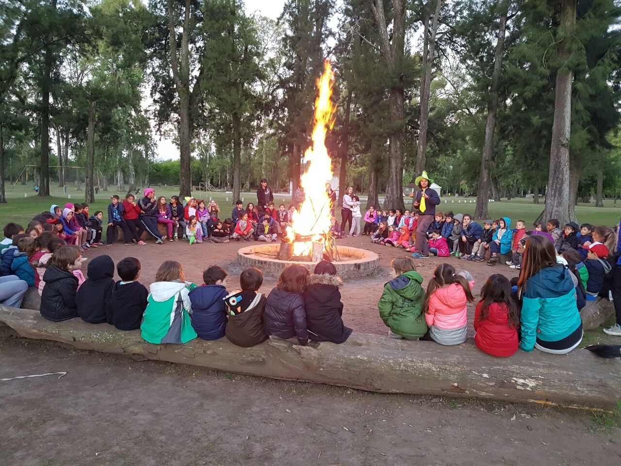 Campamentos (01)
