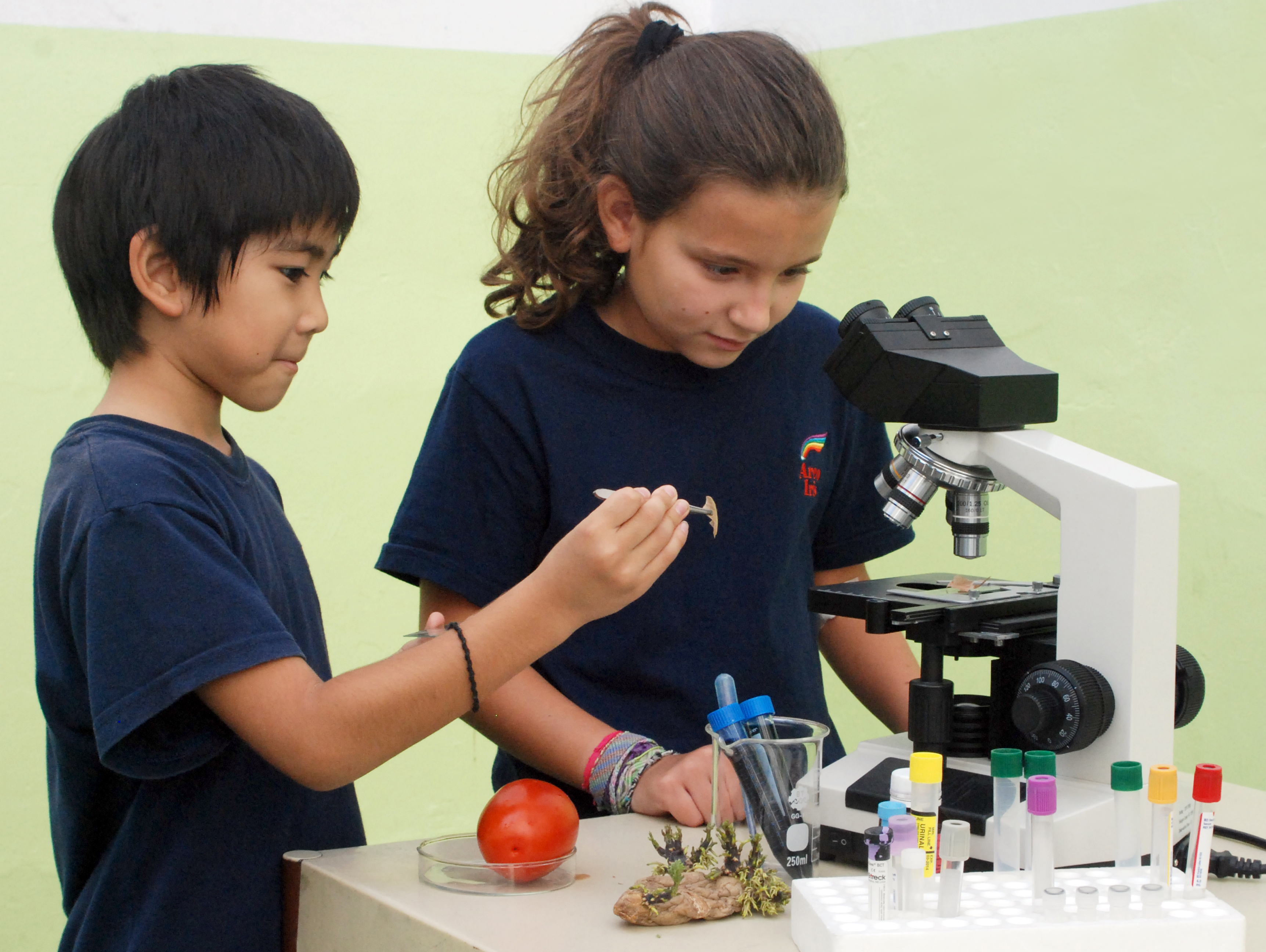 CsNaturales_Lab (01)