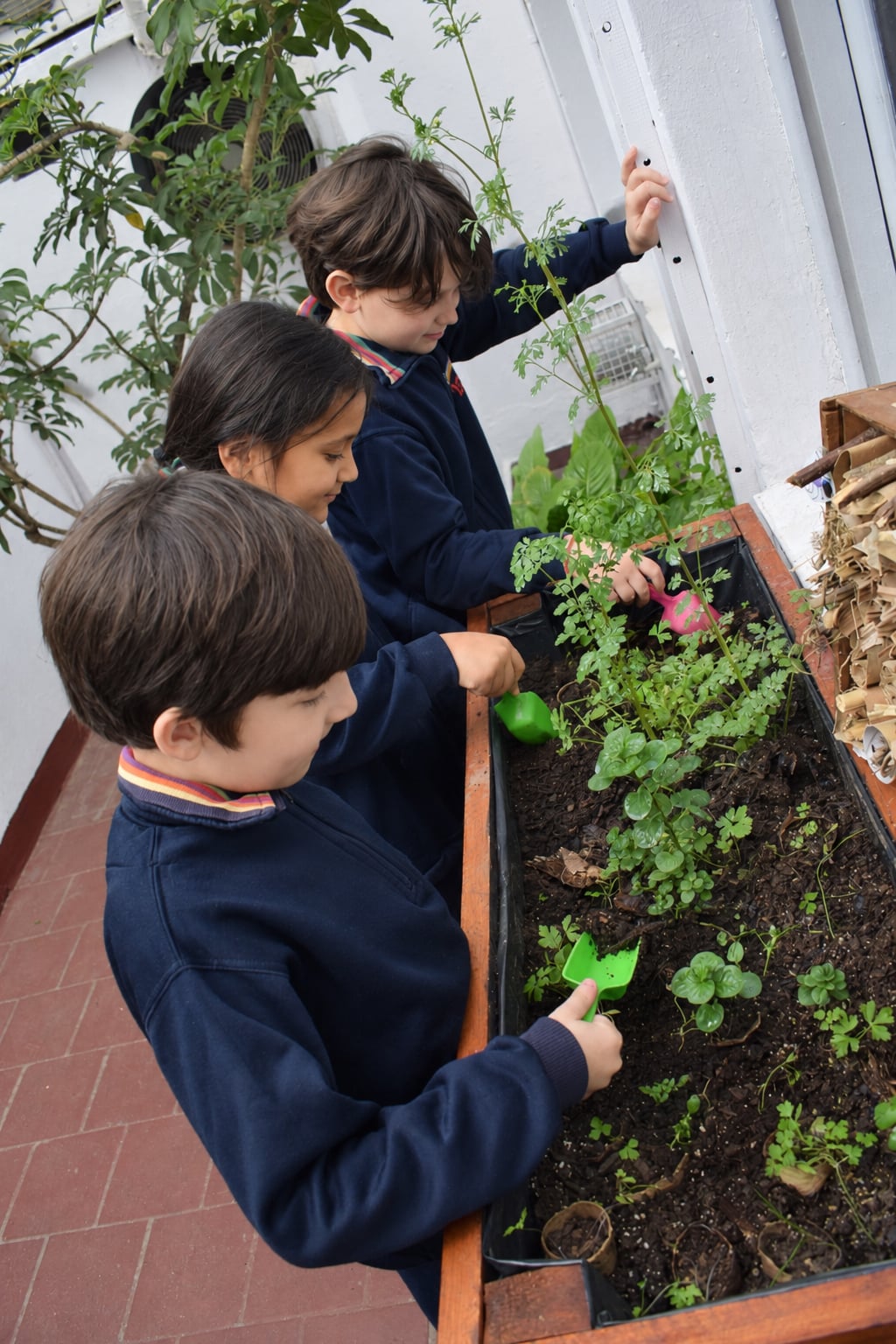 Grupo Ambiental 3o y 4o (06)