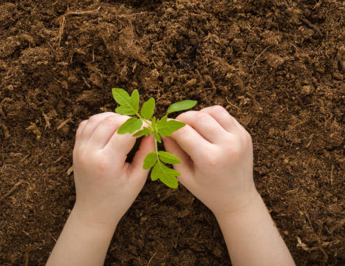 GrupoAmbiental (02)